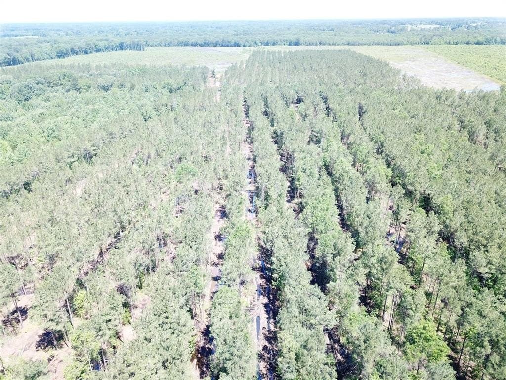 236.44 acres in Bowie County - photo 11