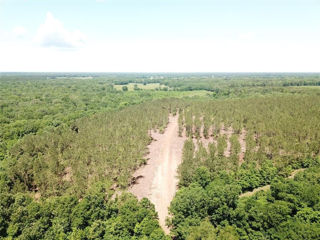 236.44 acres in Bowie County - photo 2