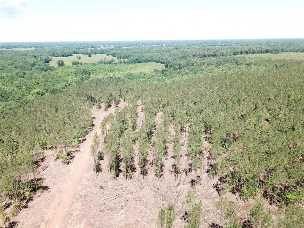 236.44 acres in Bowie County - photo 4