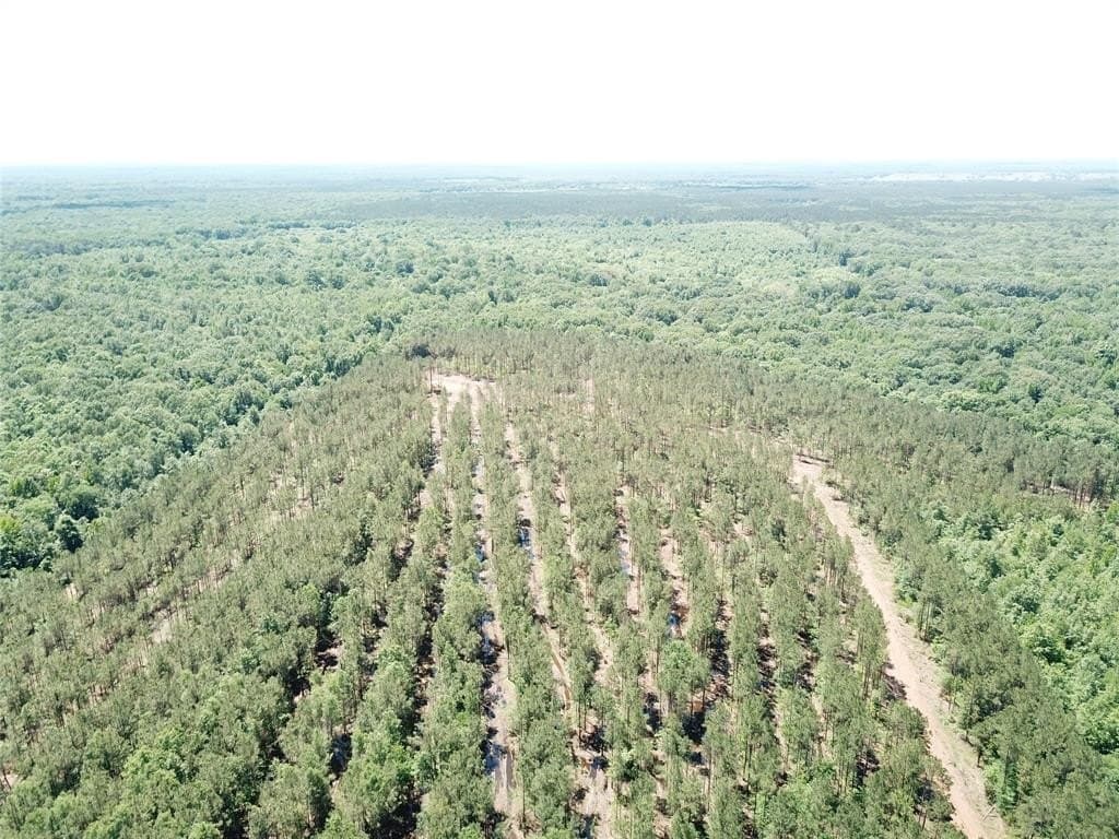 236.44 acres in Bowie County - photo 18