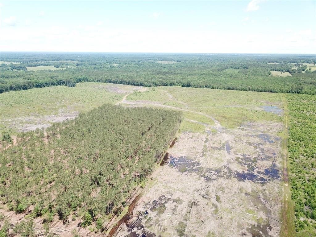 236.44 acres in Bowie County - photo 19