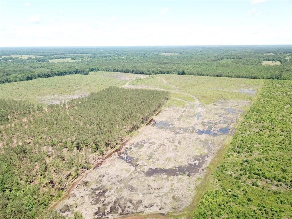 236.44 acres in Bowie County - photo 22