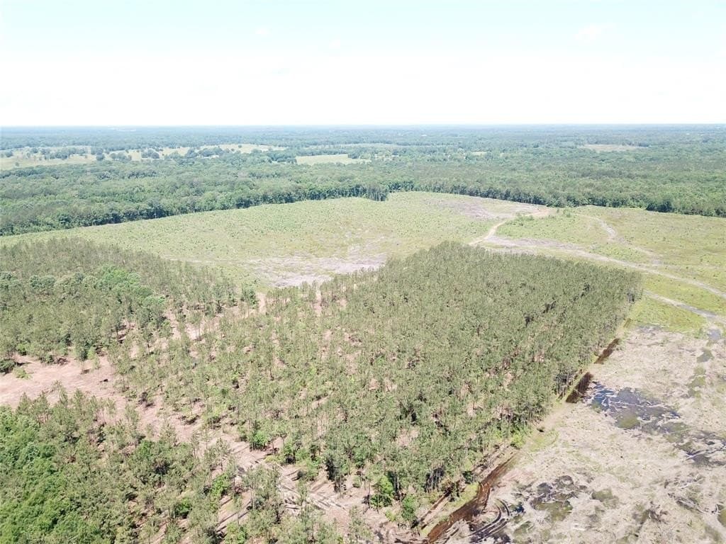 236.44 acres in Bowie County - photo 20
