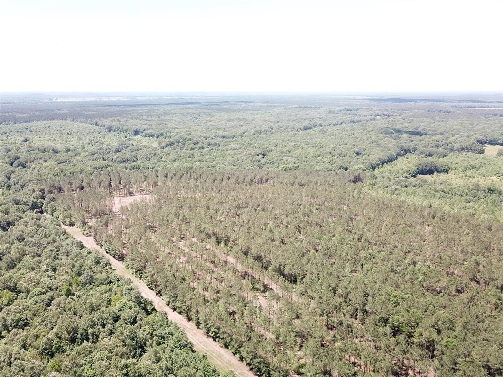 236.44 acres in Bowie County - photo 23