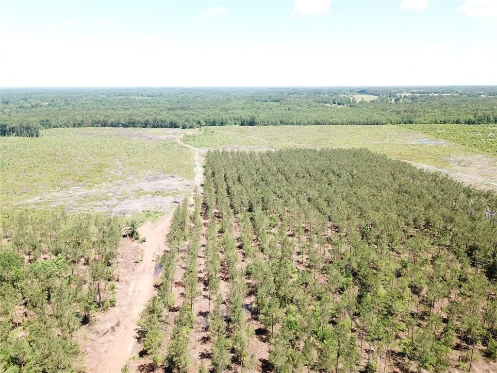 236.44 acres in Bowie County - photo 15