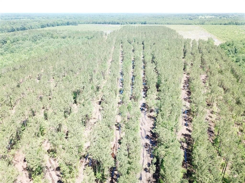236.44 acres in Bowie County - photo 6