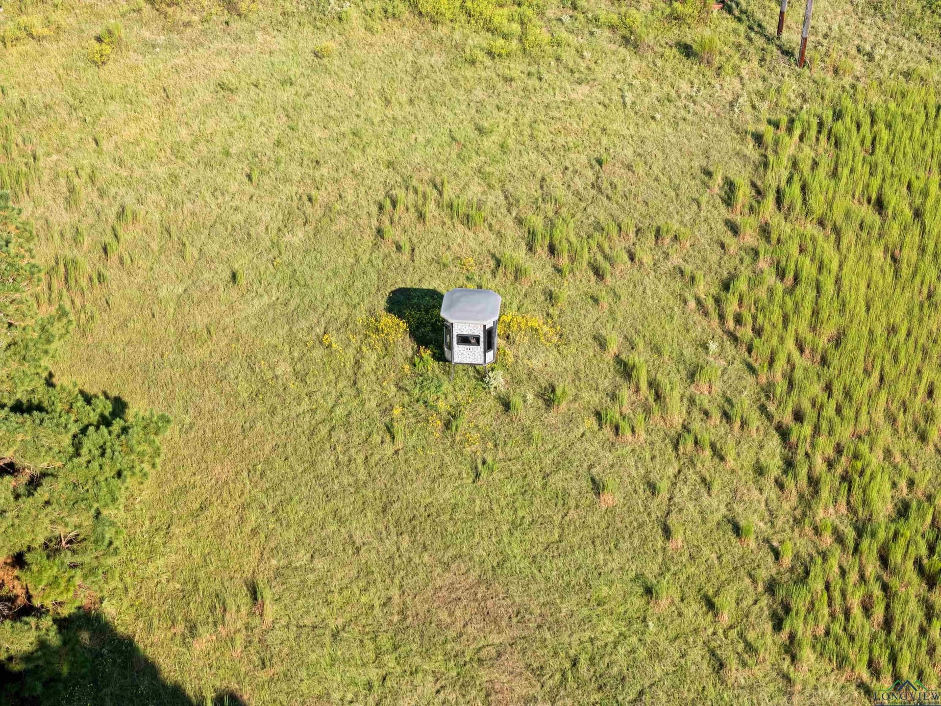 93.7 acres in Texas County - photo 9