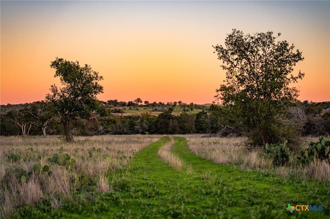 137 acres in Bell County - photo 5