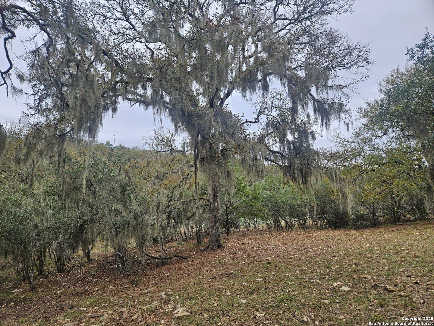 1.17 acres in Comal County - photo 3