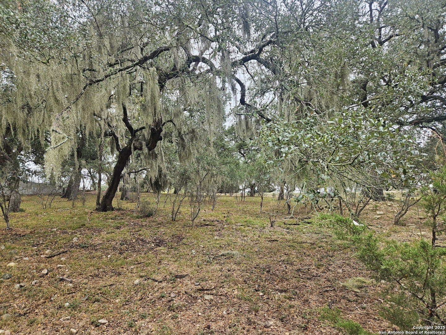1.17 acres in Comal County - photo 7