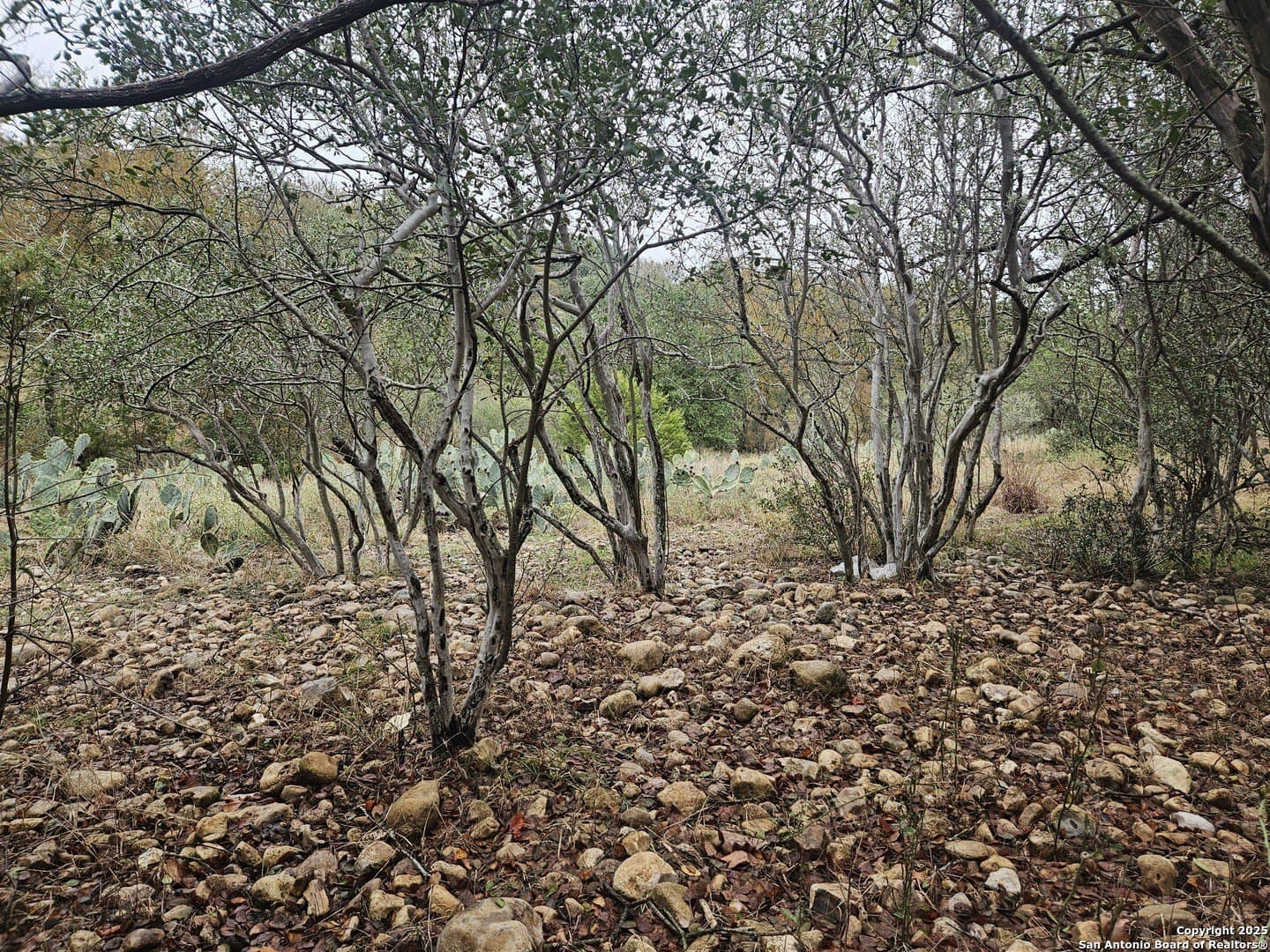 1.17 acres in Comal County - photo 4