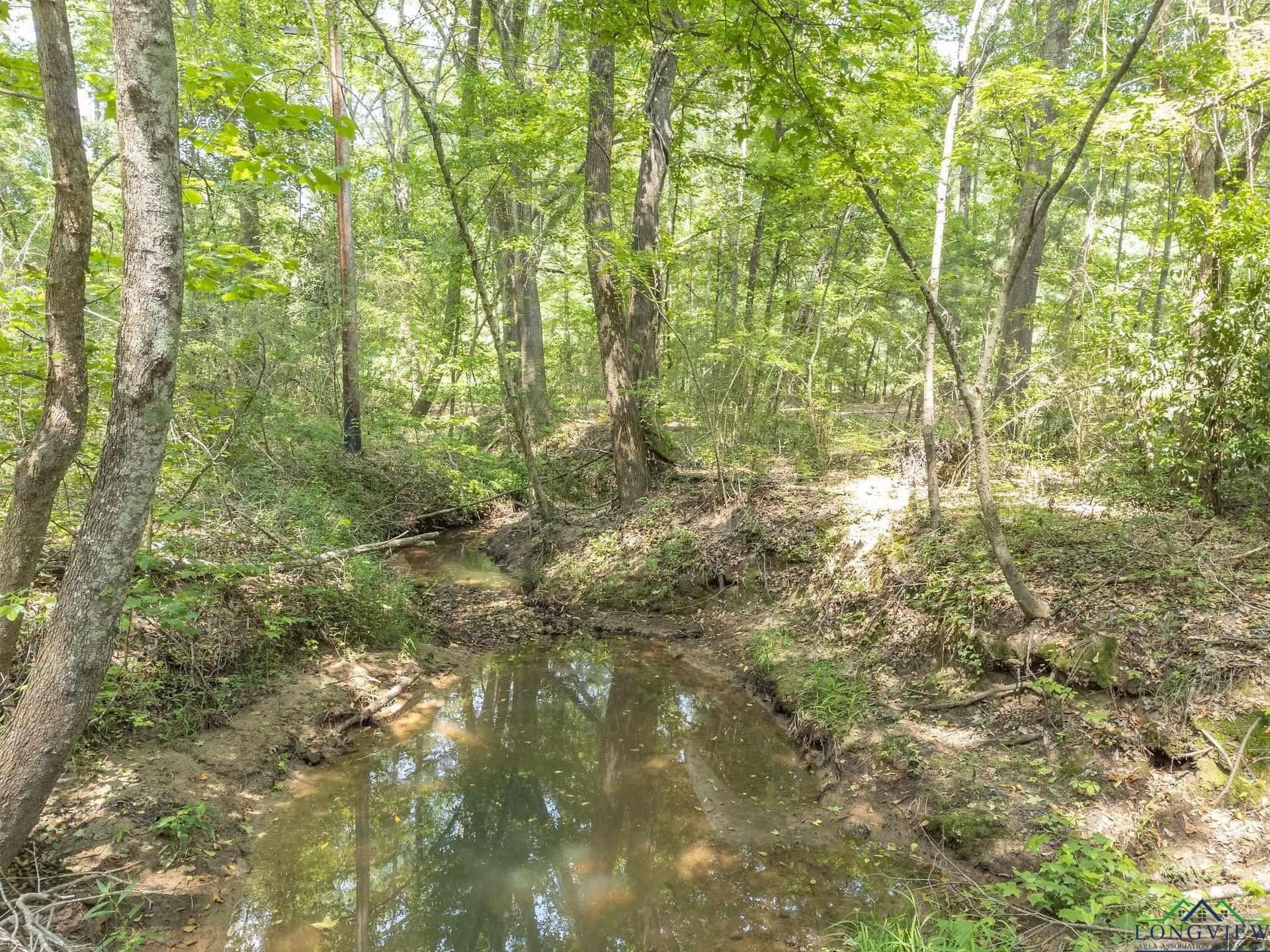 5 acres in Rusk County - photo 12