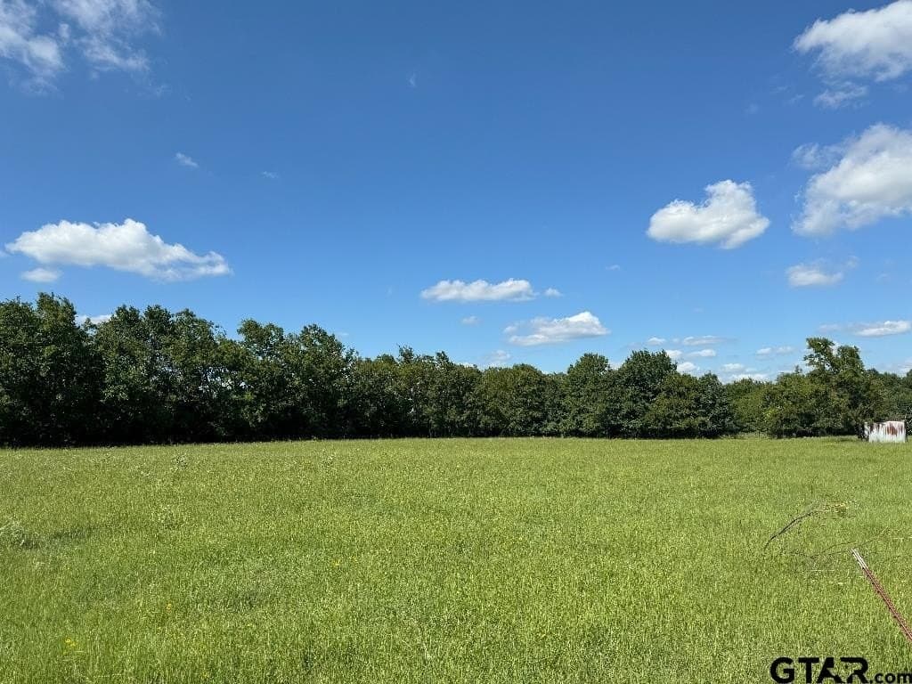 3 acres in Van Zandt County - photo 5