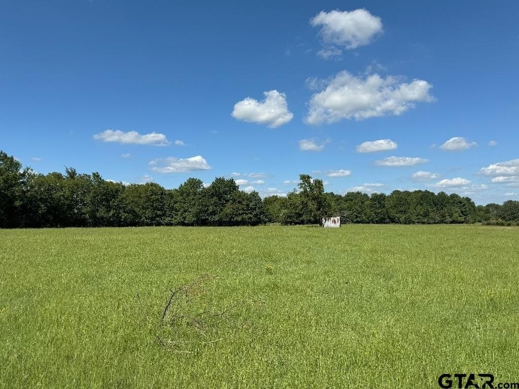 3 acres in Van Zandt County - photo 7