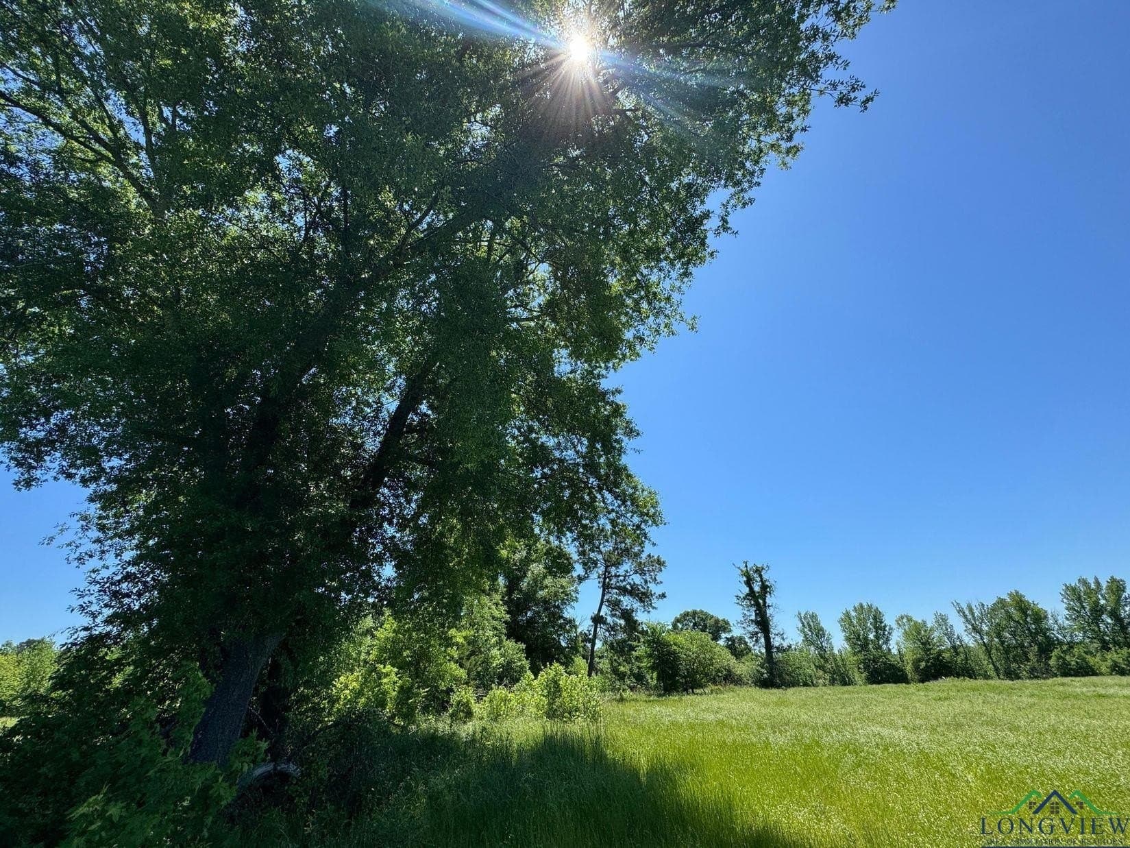 17.95 acres in Cass County - photo 11