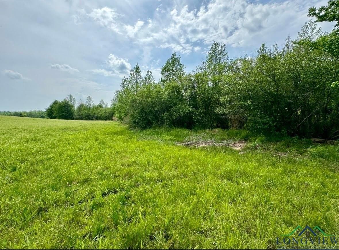 17.95 acres in Cass County - photo 6