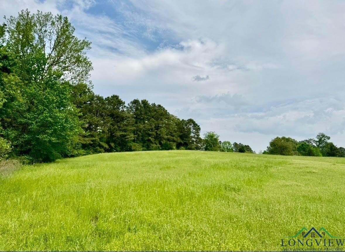 17.95 acres in Cass County - photo 7