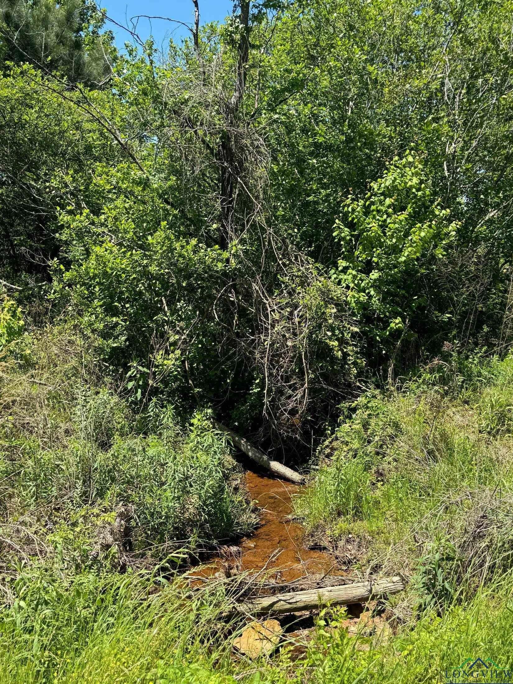 17.95 acres in Cass County - photo 14