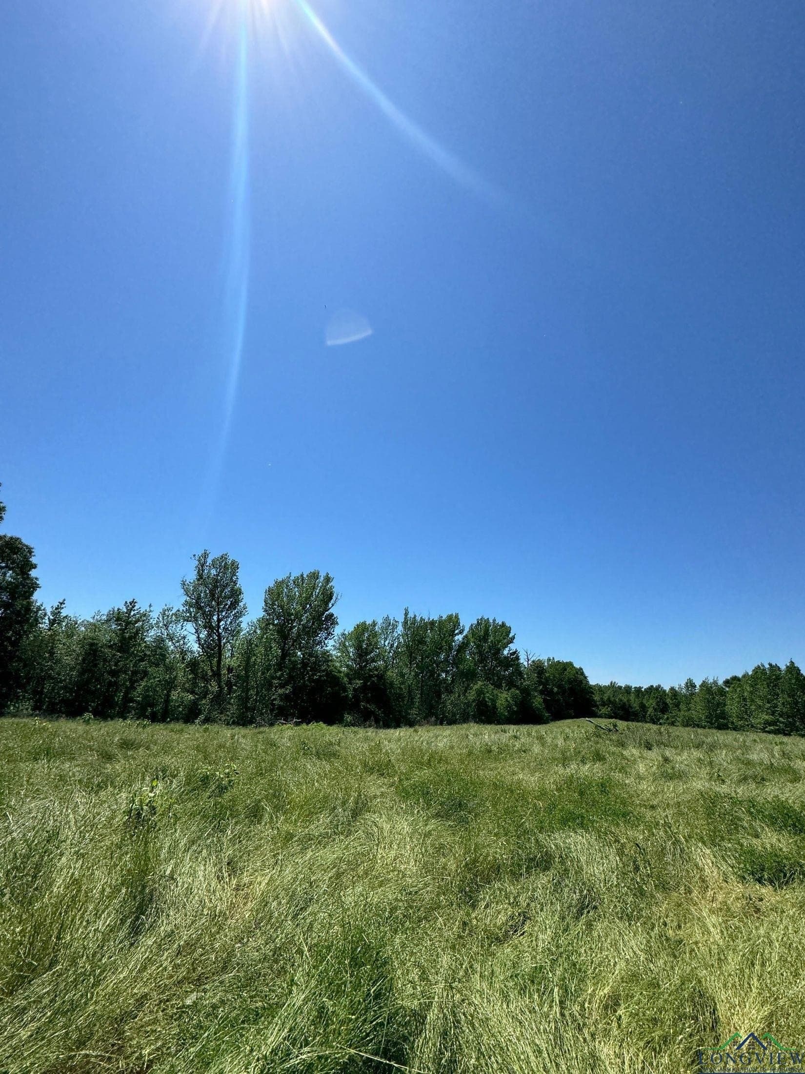17.95 acres in Cass County - photo 15