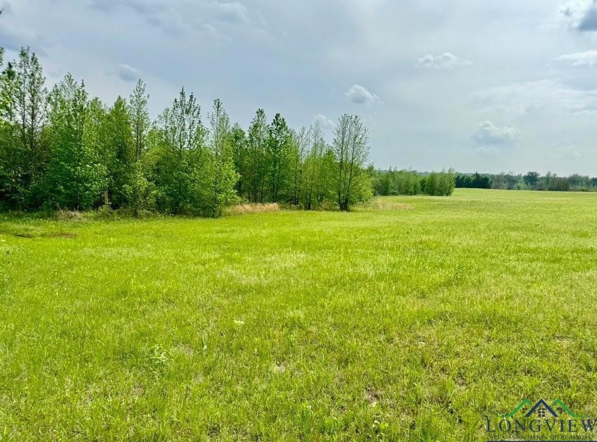 17.95 acres in Cass County - photo 3