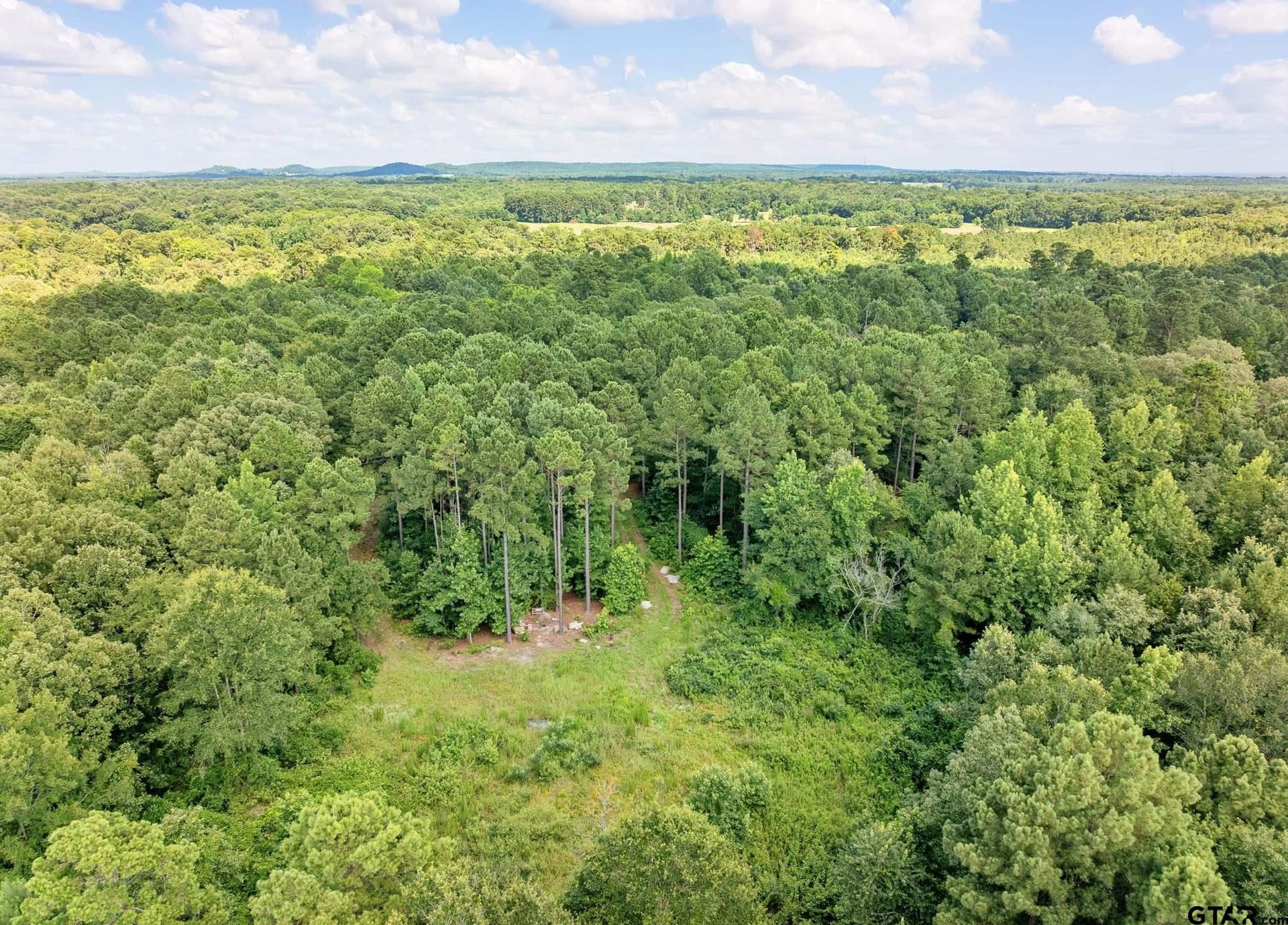 12.4 acres in Upshur County - photo 6