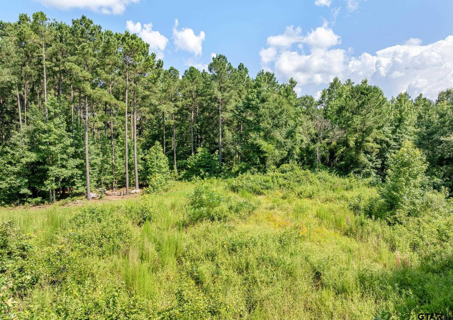 12.4 acres in Upshur County - photo 9