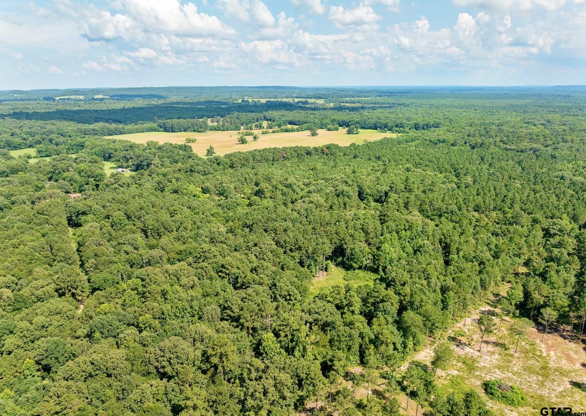 12.4 acres in Upshur County - photo 12