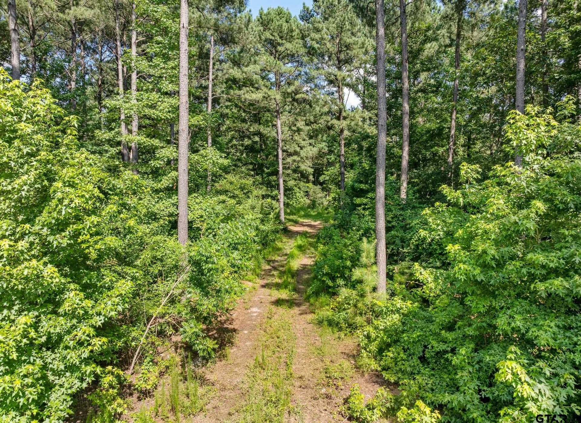 12.4 acres in Upshur County - photo 3
