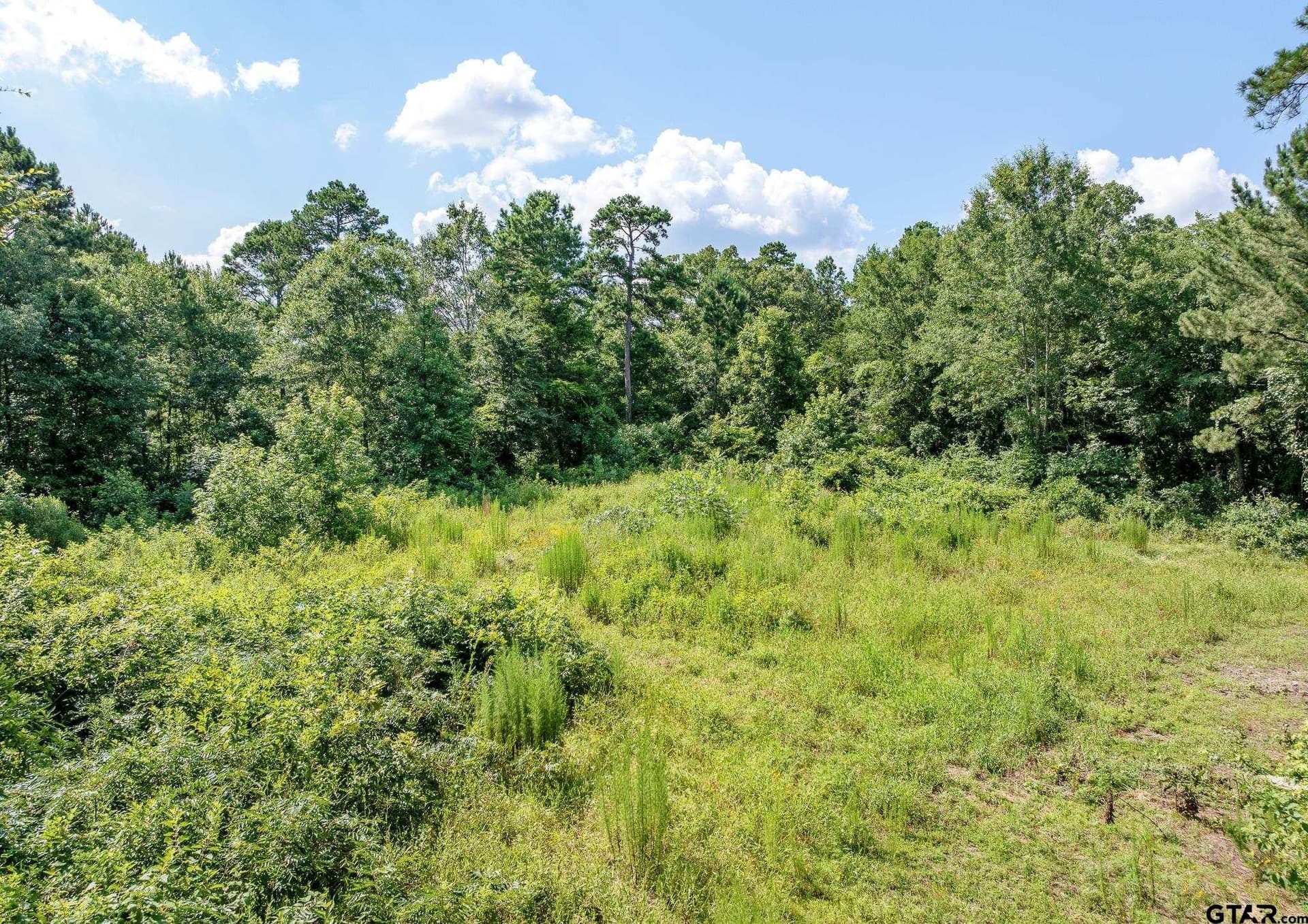 12.4 acres in Upshur County - photo 8