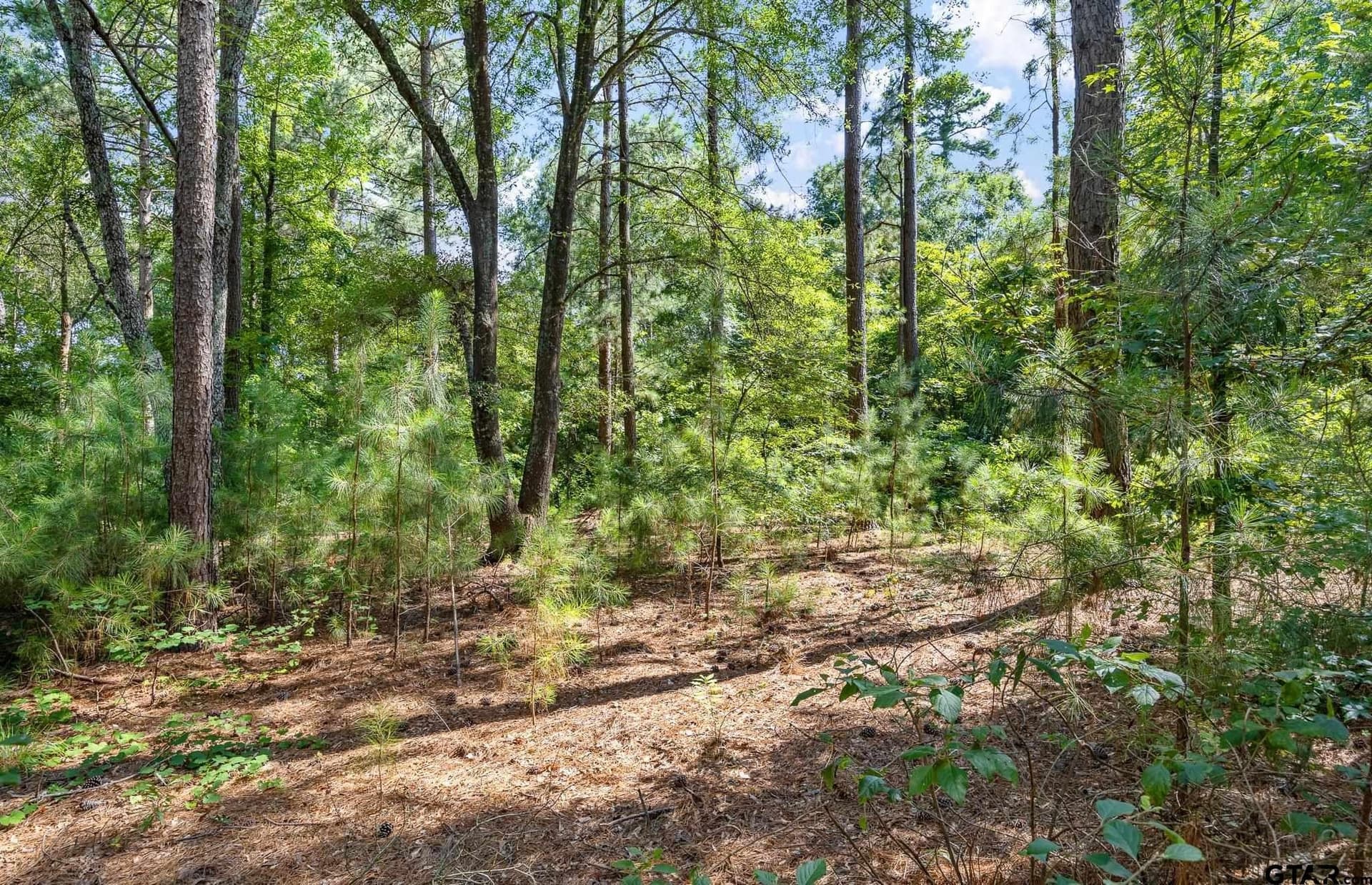 12.4 acres in Upshur County - photo 4