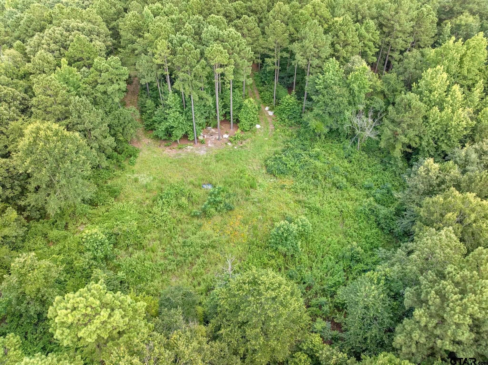 12.4 acres in Upshur County - photo 7