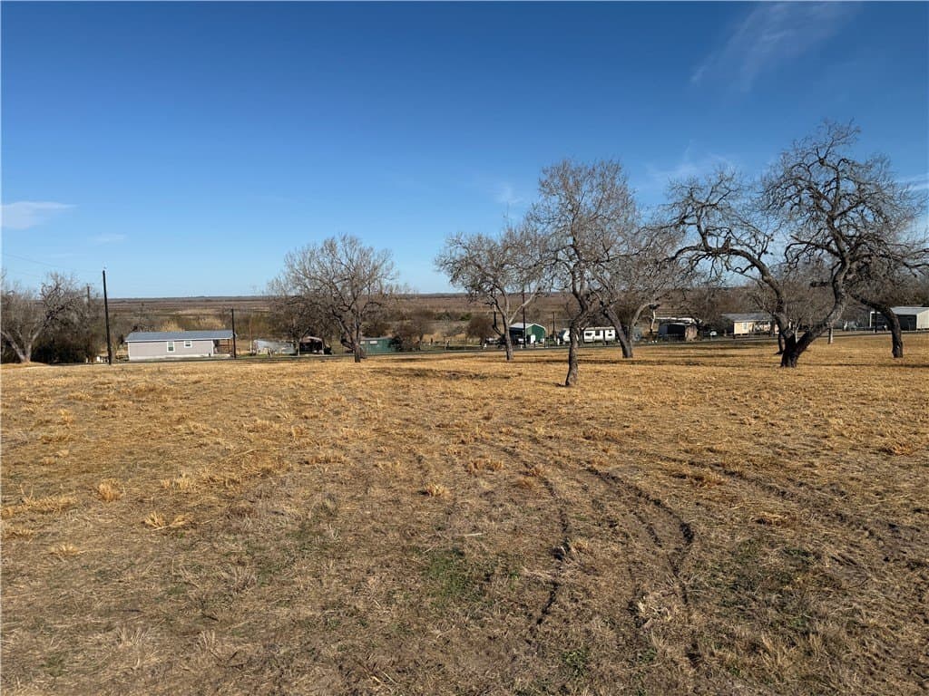1.3 acres in Live Oak County - photo 4