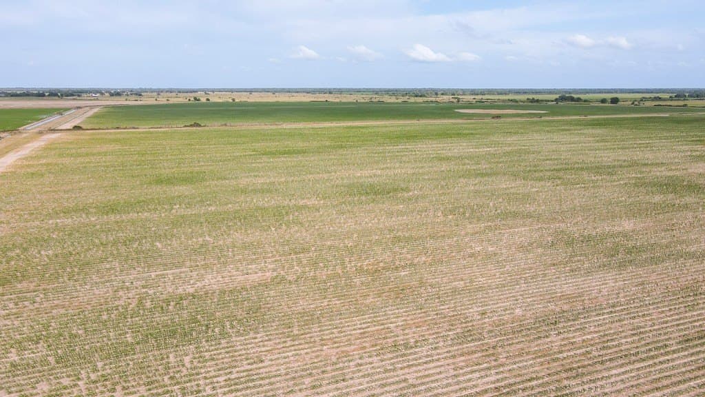 521.2 acres in Texas County - photo 26