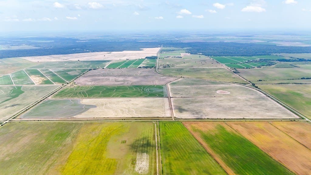 521.2 acres in Texas County - photo 5