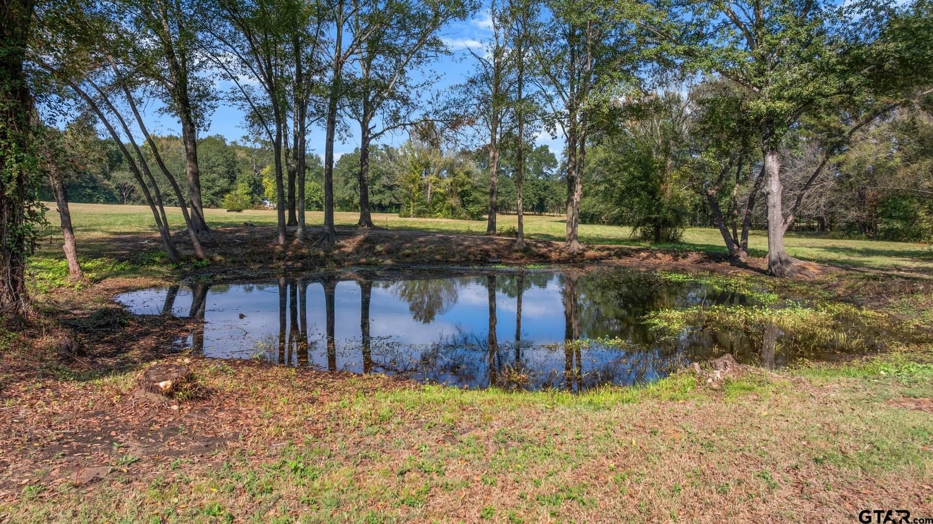 48 acres in Smith County - photo 6