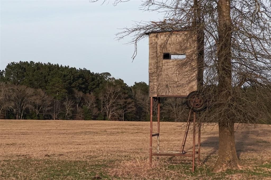 132 acres in Cherokee County - photo 12
