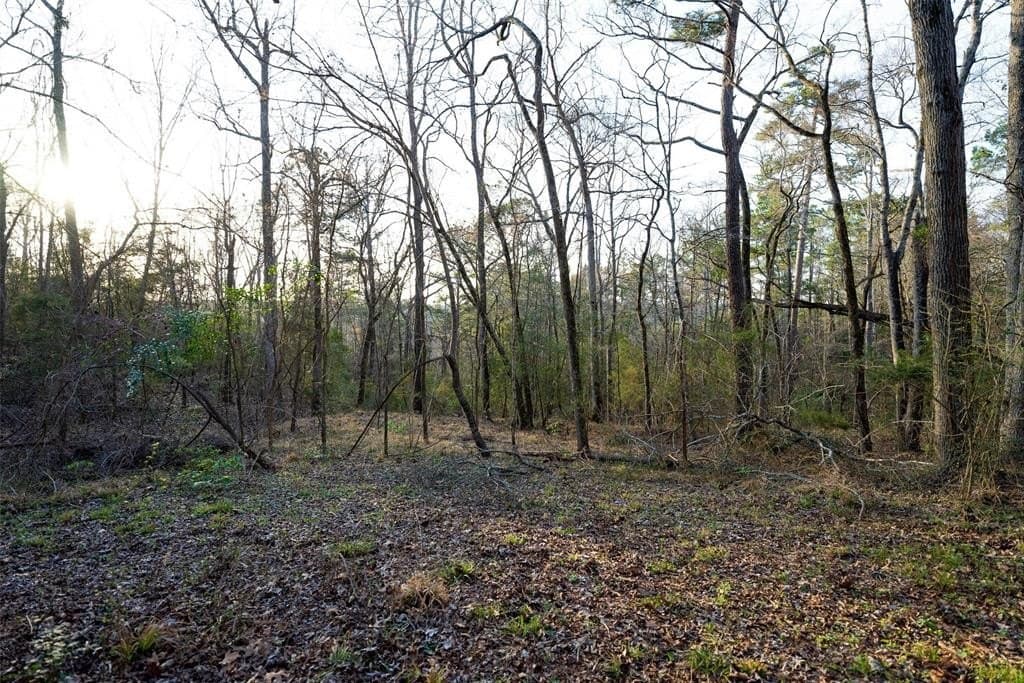 132 acres in Cherokee County - photo 36