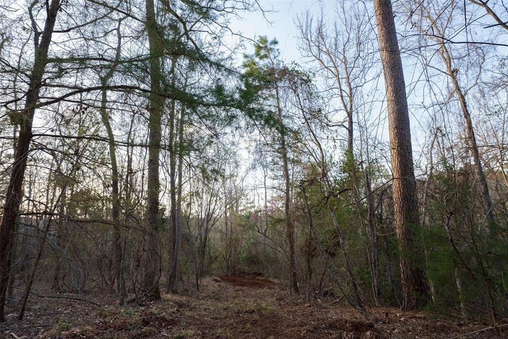 132 acres in Cherokee County - photo 37