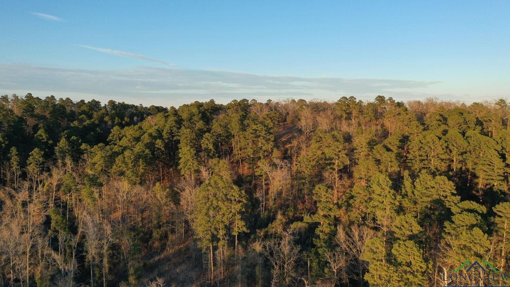 31.4 acres in Morris County - photo 6