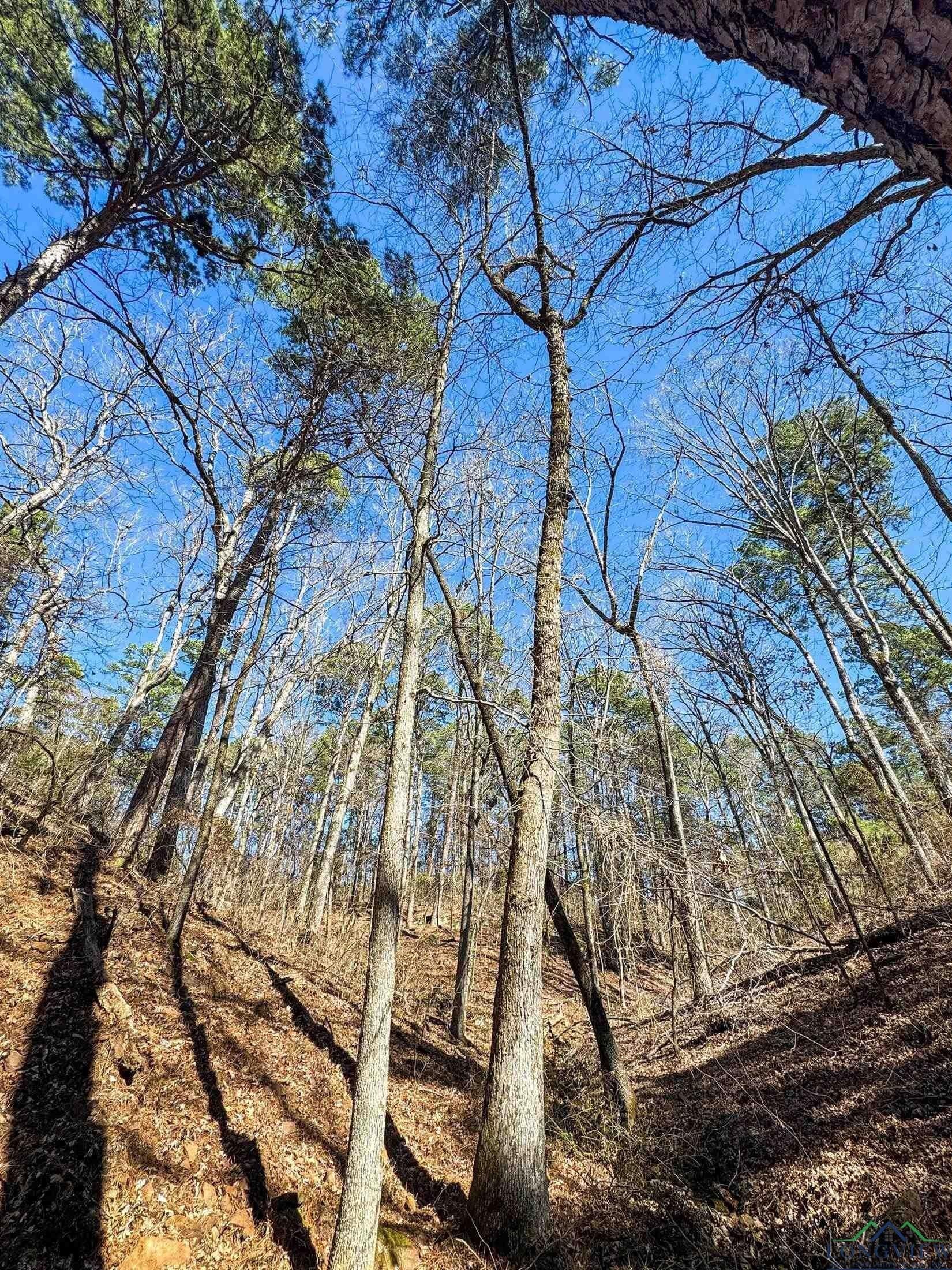 31.4 acres in Morris County - photo 8