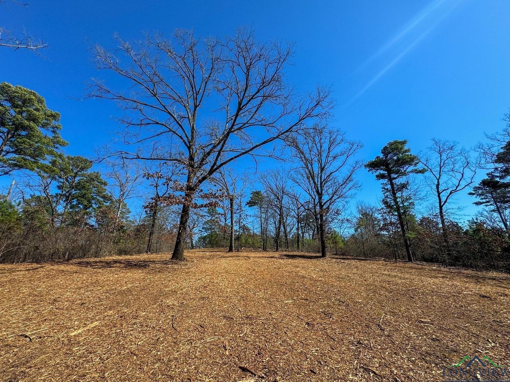 31.4 acres in Morris County - photo 10