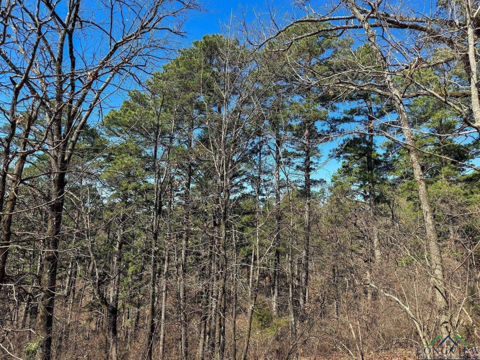 31.4 acres in Morris County - photo 11