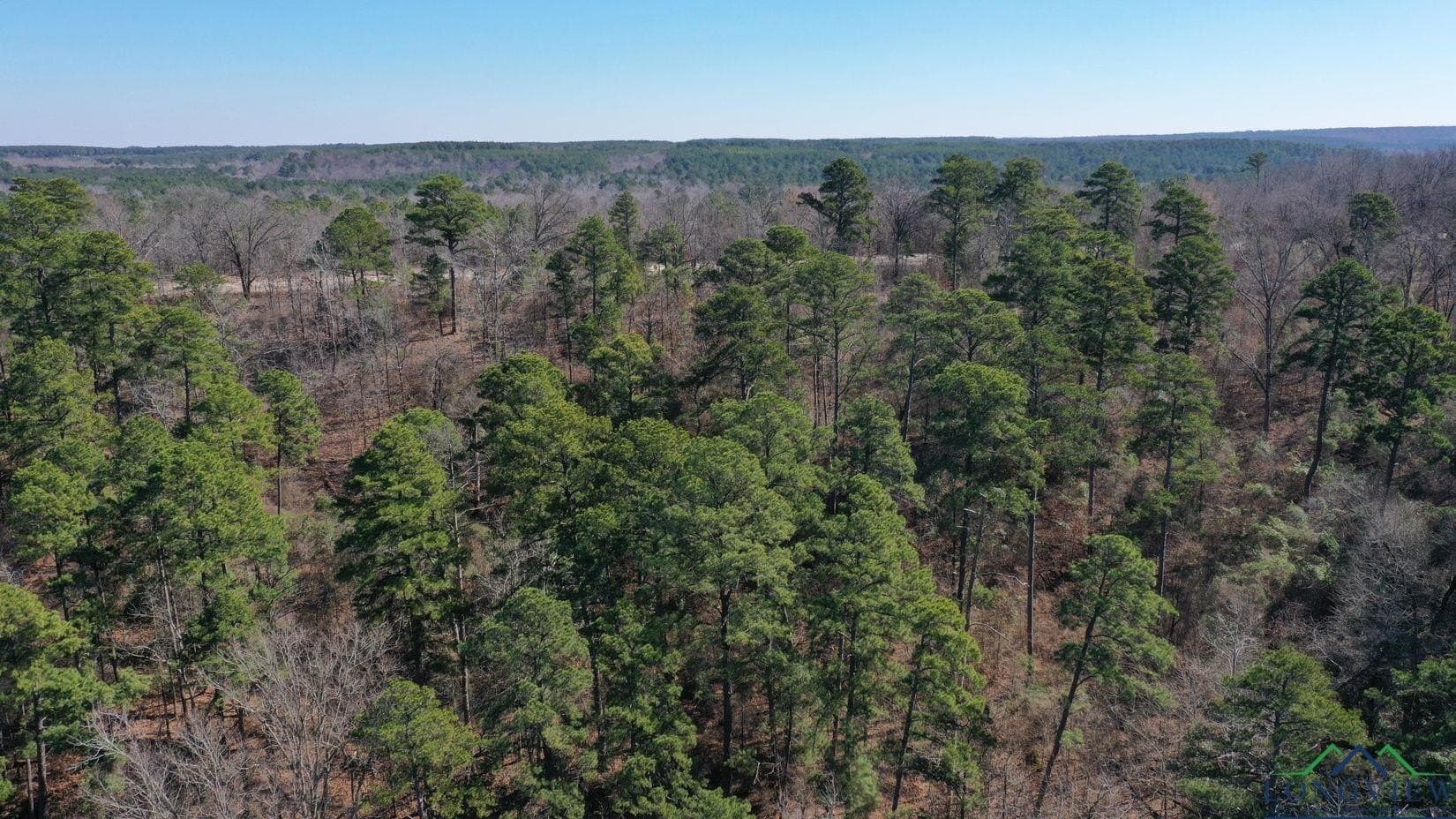 31.4 acres in Morris County - photo 13