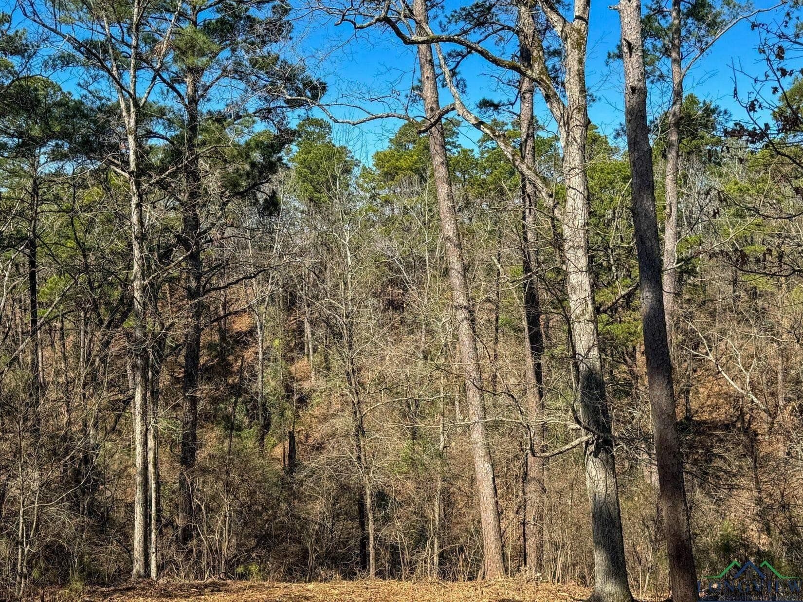 31.4 acres in Morris County - photo 12