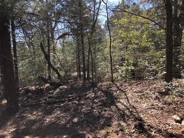 1 acres in Freestone County - photo 5