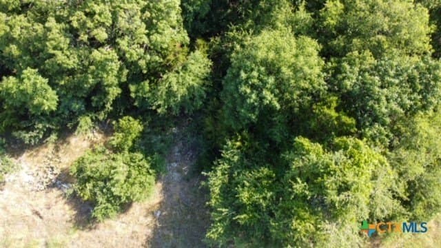 0.74 acres in Bell County - photo 2