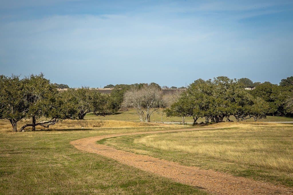 25 acres in Fayette County - photo 8