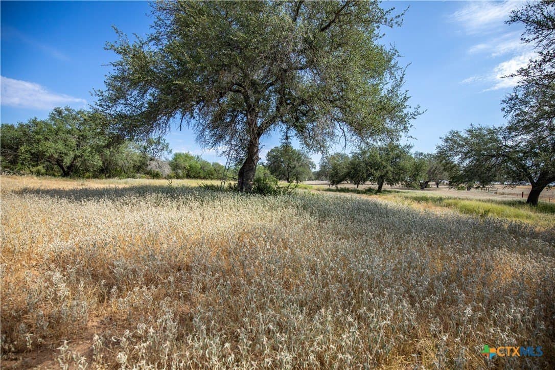 26.99 acres in Atascosa County - photo 41