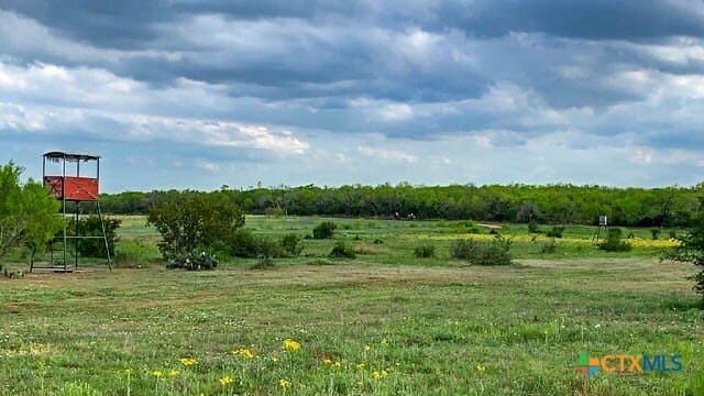 26.99 acres in Atascosa County - photo 3
