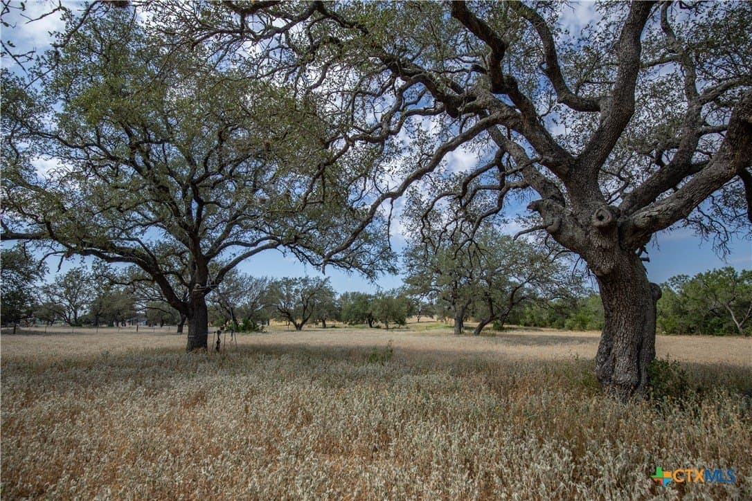26.99 acres in Atascosa County - photo 43